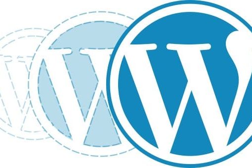 launch your WordPress website