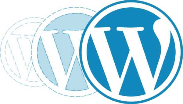 launch your WordPress website